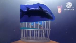 Abbys Flying Fairy School Fish Everybody Say Oh Toodles Part 365 Qoodles 2
