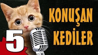 Konuşan Kediler 5 - En Komik Kedi ları