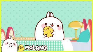 Molang - Chickenpox | Full Molang episodes - Cartoon for kids