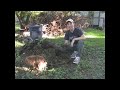 Garden tips