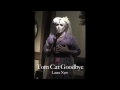 Tom Cat Goodbye Video preview