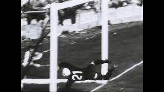 afMvixA7NUE Video Image