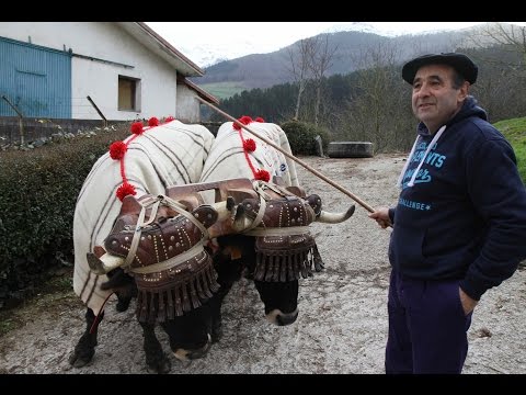 Roman Elosegi itzaina