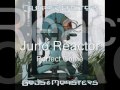 Juno Reactor - Perfect Crime