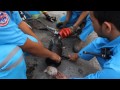 Maejo Team Rescues Puppy Stuck in Iron Pipe