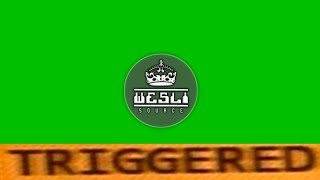 Triggered Sound - Green Screen Wesli Source