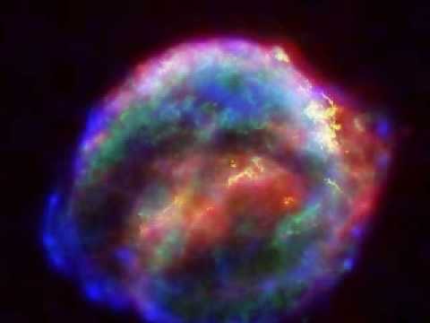 Fish - 13th star