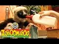 🐒 Zoboomafoo 🐒 122 | Pets - Full Episode | Kids TV Shows