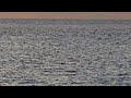 Puesta de sol desde Formentera en timelapse y se v