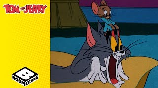 Jerry Cant Stop Sleep Walking Tom And Jerry
