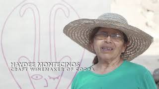 El futuro de la Escuela del Vino de Codpa