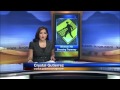 Pedestrian dies in Friday night collision