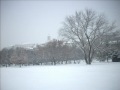 Szabó Lőrinc: Esik a hó