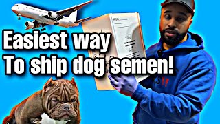 Most Fastest & simple way to ship dog semen!