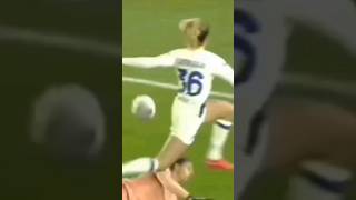 ahdPBliFOeM Video Image