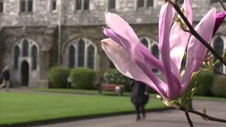Opportunities and Doing Business in Ireland