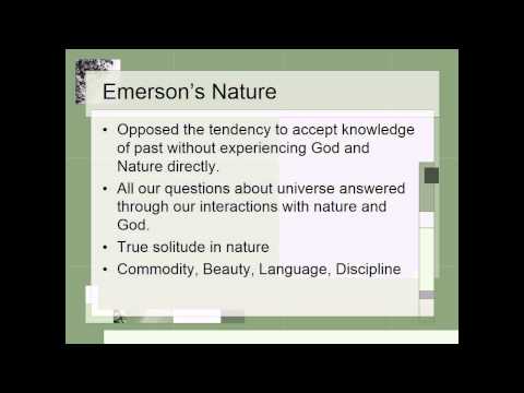 descriptive essay the woods in autumn descriptive essay the woods in autumn