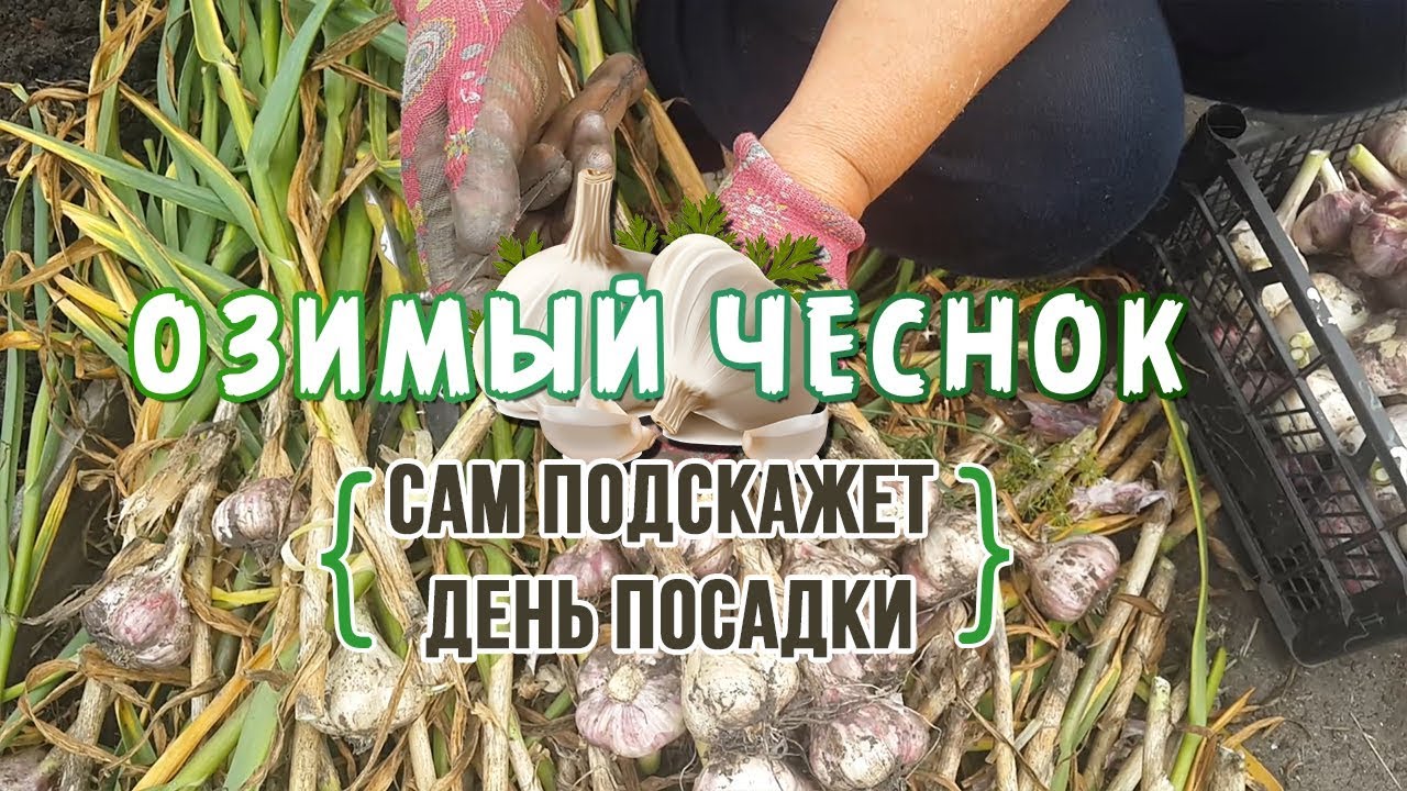 Как сделать интро для канала в ютуб 775 Как сделать интро для канала в ютуб 582