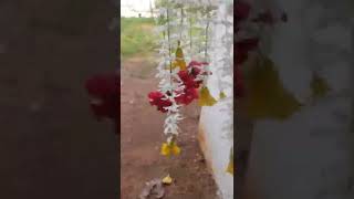 Special Teej Mini Vlog Village Vlog Day 6 Kajal Makevlog