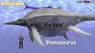 Dinosaur Discoveries Shonisaurus