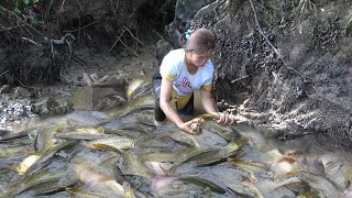 Hunting Wild Fish - Modern Technology Catch Fish - Pump Fishing Techniques - Skills Fishing