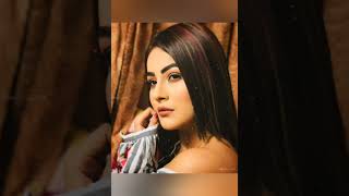 Shehanaaz Gill New Status