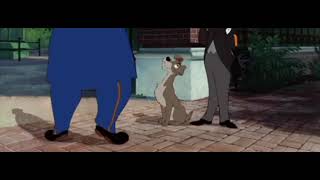 Lady And The Tramp 1955 Through The Zoo Scene
