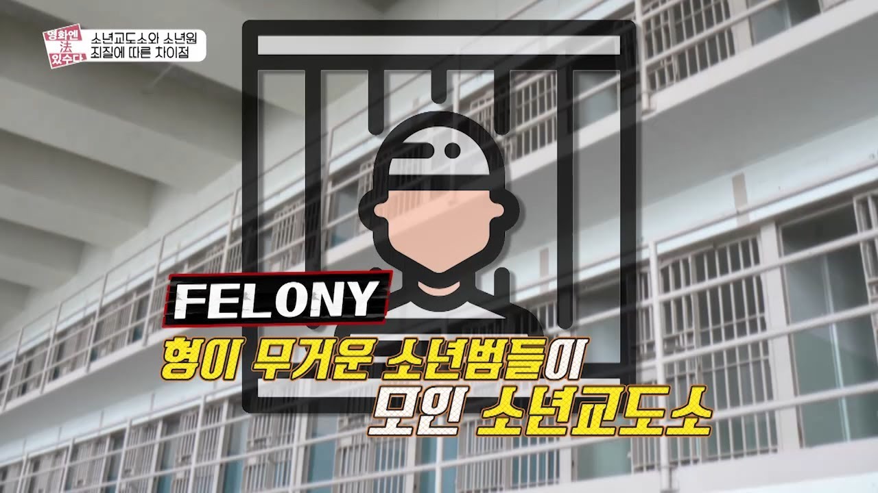 2020 영화 속 이런 법
