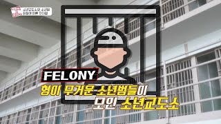 소년교도소와 소년원 죄질에 따른 차이점은?_유열의 음악앨범