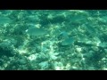 Formentera 2011: es pujols snorkeling