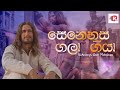 Senehasa Gala Giya|සෙනෙහස ගලා ගියා|Sinhala Hymn