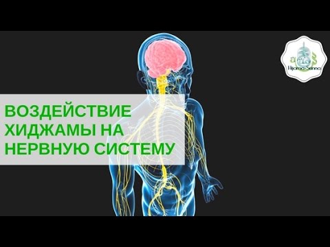 Как восстановить нервную систему чем ее лечить Как восстановить нервную систему чем ее лечить