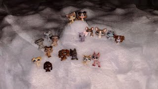 Littlest Pet Shop Trip To The Mountain Of Death Intro Uusi Sarja