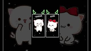 Adi Kakak