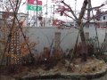 山形県山形市I様邸作庭工事