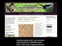 How WordPress Has Changed My Life