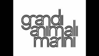 Watch Grandi Animali Marini Lestate E Bellissima video