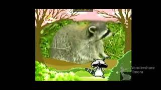 Bim And Bam In The Animal World L Raccoon