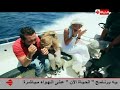 سابا