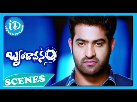Jr N T R Ajay Fight Scene - Brindavanam Movie