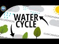 Water Cycle | How the Hydrologic Cycle Works