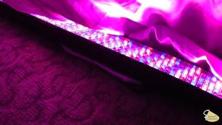 Ads 2012 Cherry Belle Loves American Idol Star World Ads 2012 Cherry Belle Loves American Idol Star World