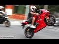 Triumph Daytona 675i, Srad, Hornet & R6 Wheelie, Kawasaki Z800, R1, Ducati, Honda & BMW - Bikers 63
