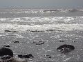 Calming, Relaxing and Hypnotic Piano Music with Ocean Waves Part I
