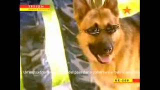 Arden Bosques Patagonicos
