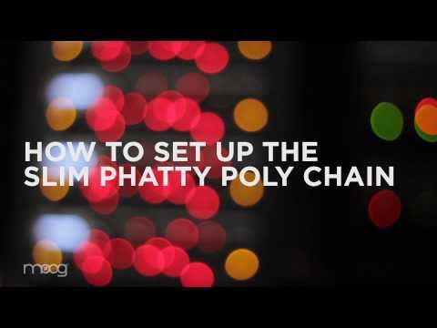 How to Set Up the Slim Phatty Poly Chain