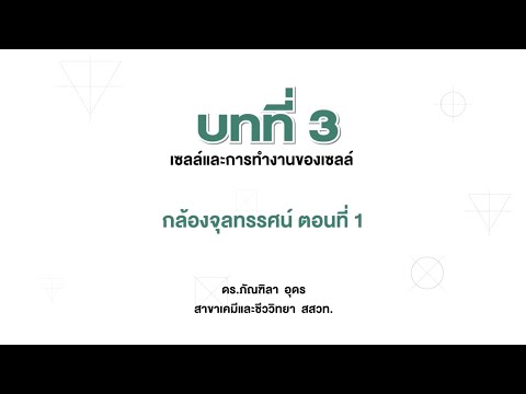 กล้องจุลทรรศน์ ตอน 1 (ชีววิทยา ม.4 เล่ม 1 บทที่ 3)