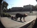 Weird Summer Skateboarding