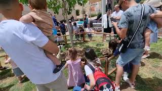 הפעלות ימי הולדת מטריפות עם חיות אקזוטיות בכל הארץ! לפרטים 0556660897 @החיות של שלמה