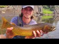 Slough Creek Fly Fishing Yellowstone Dry Dropper | Trout Wranglers  (Episode 14)